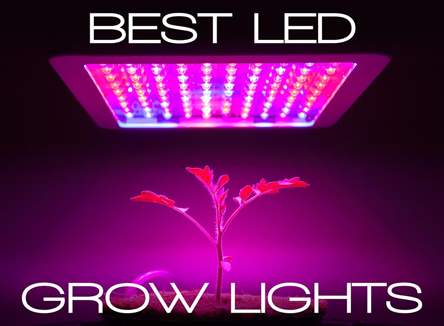 4 Myths of LED Grow Lights