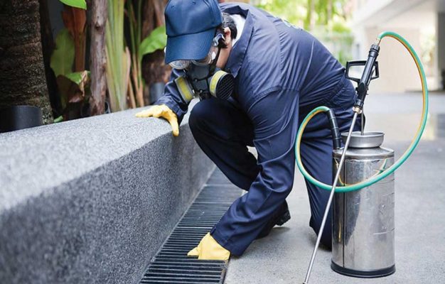 Why is hiring a Professional Pest Control Company in Melbourne is Important?