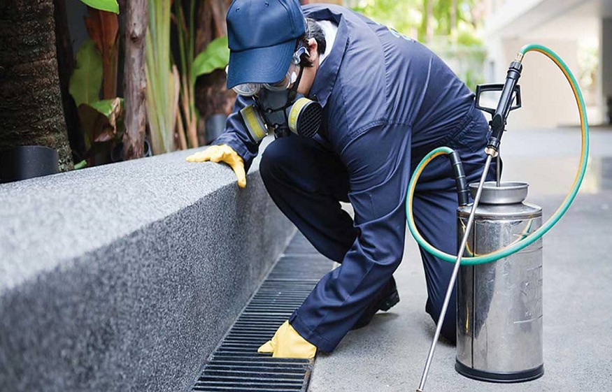 Why is hiring a Professional Pest Control Company in Melbourne is Important?