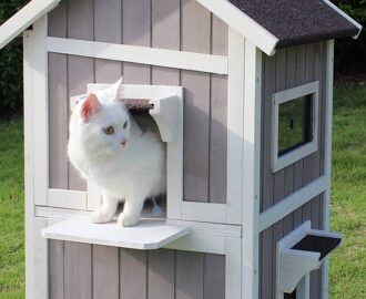 Housing for Outside Cats