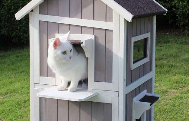 Housing for Outside Cats