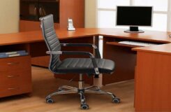 Ergonomic Office Chairs