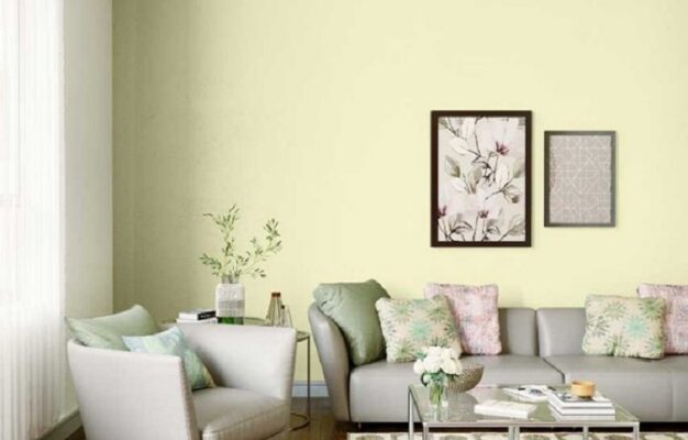 Wall Decals & Wallpapers