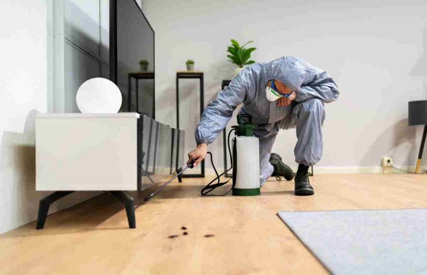 Preparing for a Pest Control Service