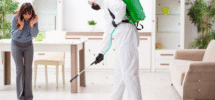 Missouri Pest Control Services