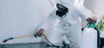 pest control