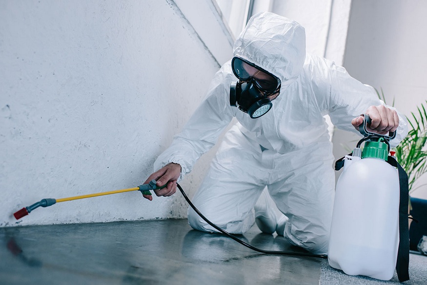 pest control