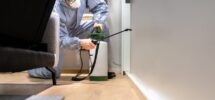 the best pest control in Fort Lee