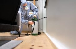 the best pest control in Fort Lee