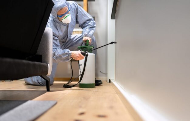 the best pest control in Fort Lee