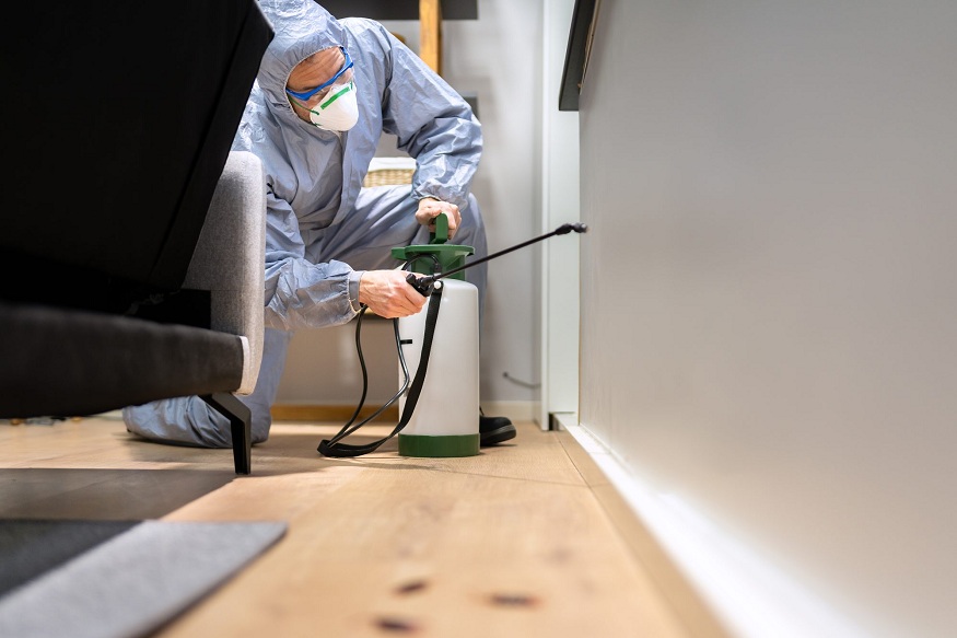 the best pest control in Fort Lee