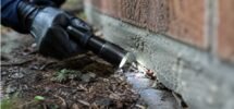 Green Pest Services